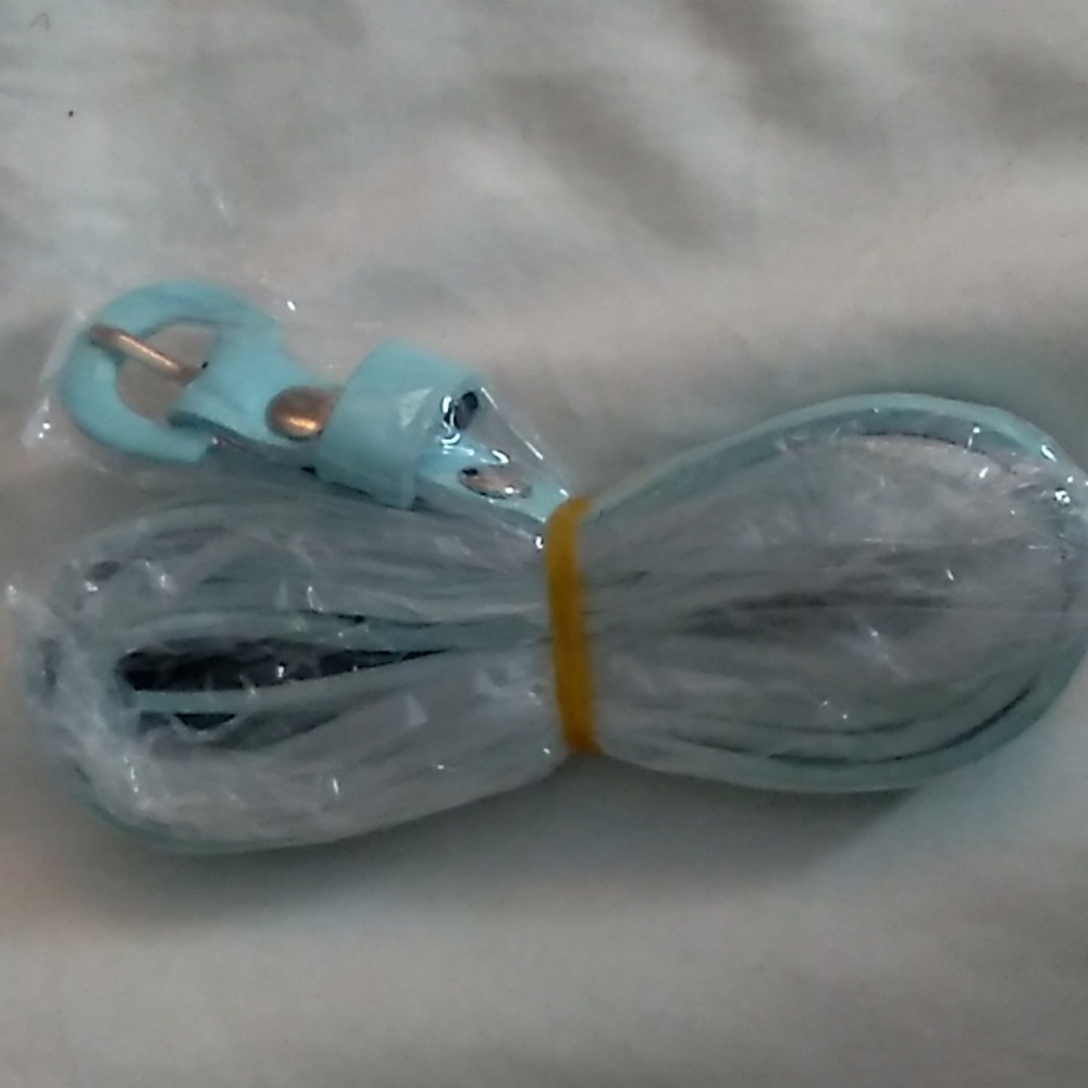 Light blue belt